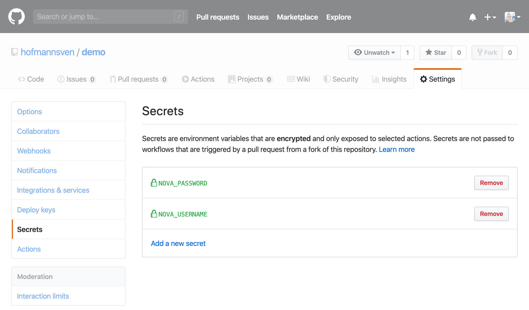 Screenshot of GitHub Repository Settings